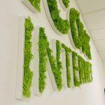 Enseigne lettres PVC végétales avec lichen Marseille