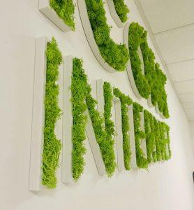 Enseigne lettres PVC végétales avec lichen Marseille