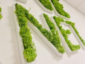 Enseigne lettres PVC végétales avec lichen Marseille